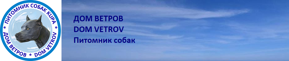 DOM VETROV питомник собак